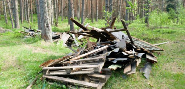 Debris Removal Service in Vienna